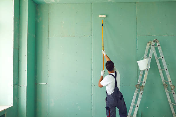 Professional Mold Removal in London, CA