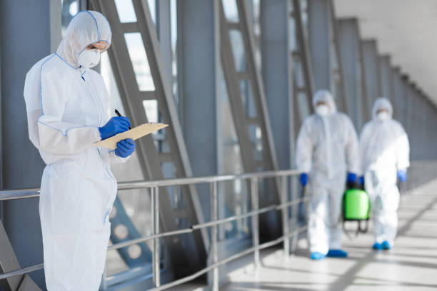 Best Real Estate Mold Inspection  in London, CA