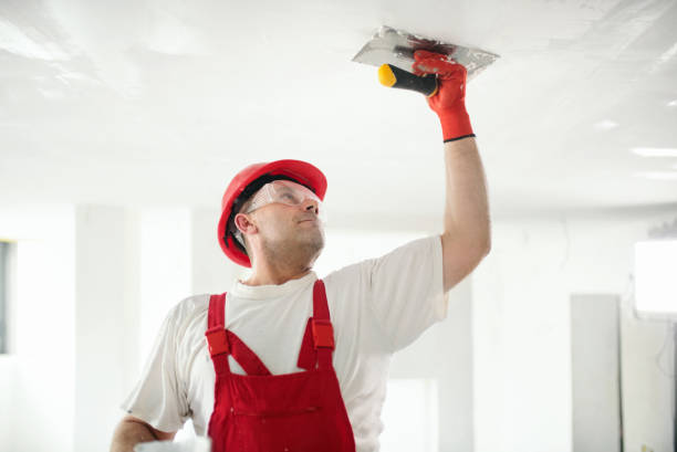 Best Mold Remediation for Healthcare Facilities  in London, CA